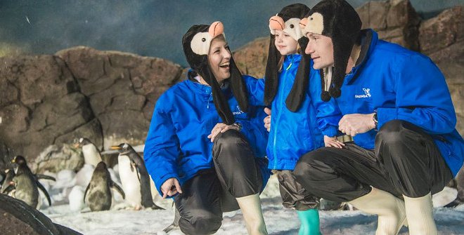 A high-quality stock photo related to the article: Faunia