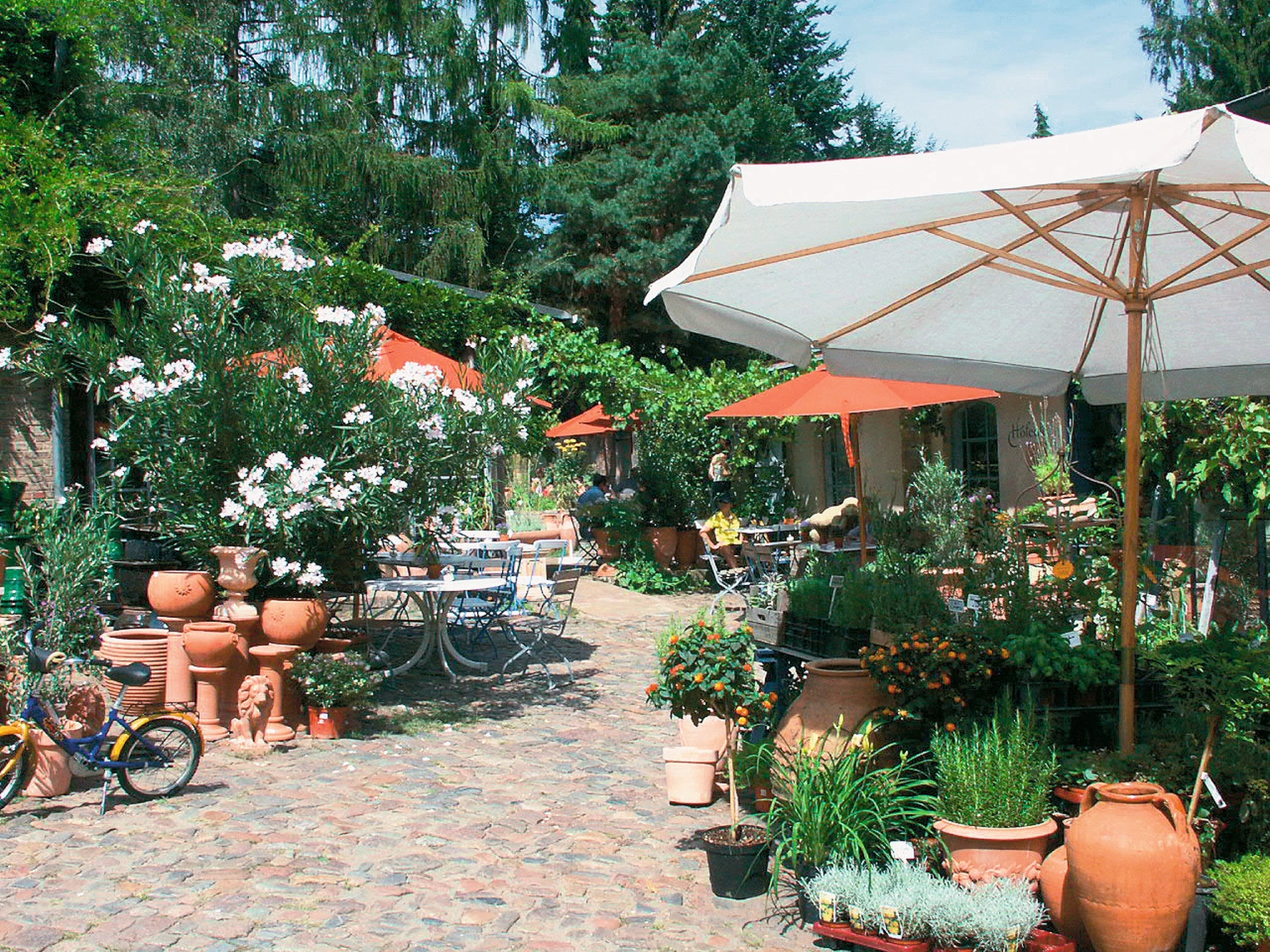 Mutter Fourage Courtyard Cafe outdoor patio, vibrant with white blossoming plants, terracotta pots, and shaded tables under orange and white umbrellas, ideal for sunny al fresco dining.