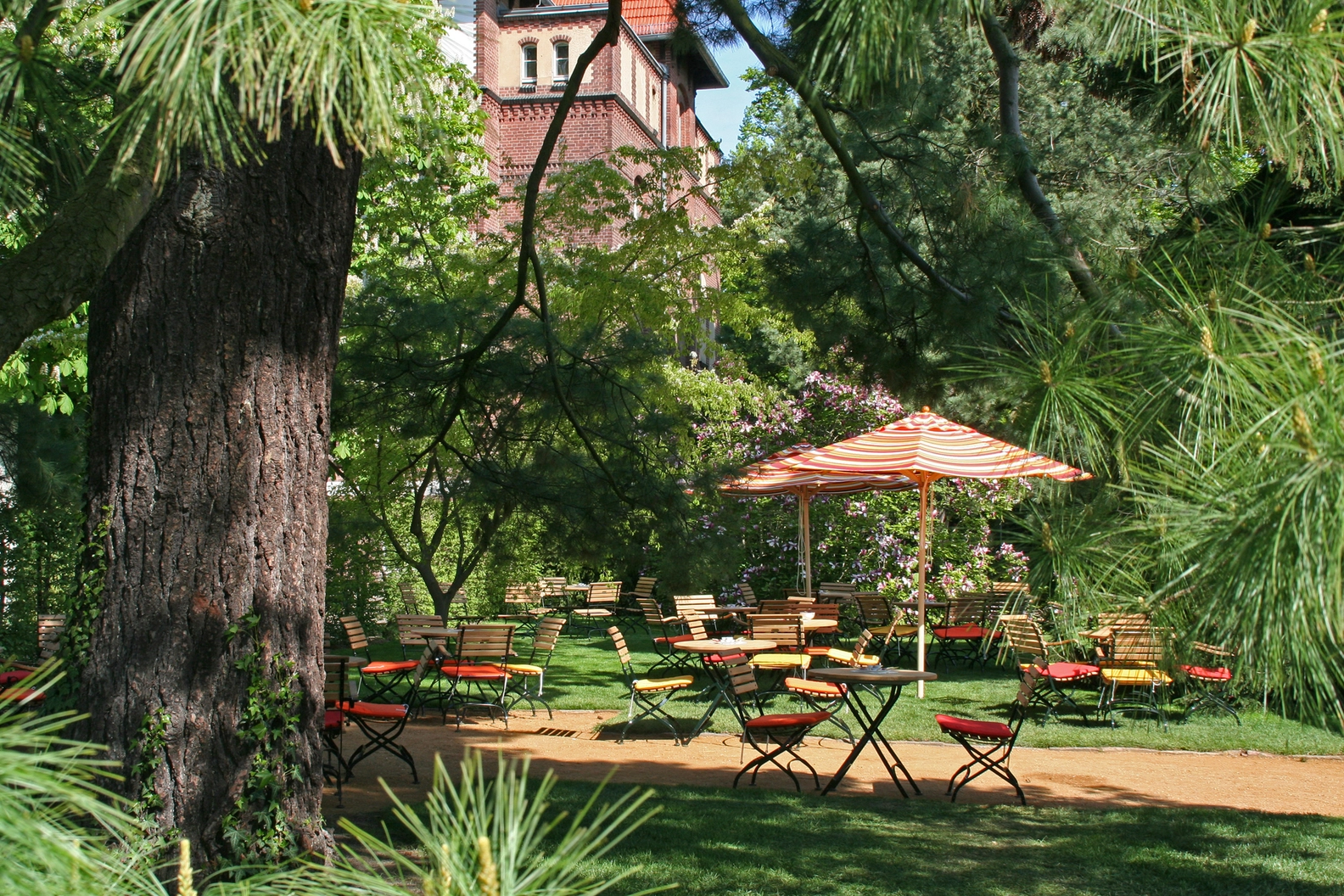 Royal Garden Academy outdoor cafe in sunshine, with a vibrant striped umbrella, multiple tables, and chairs with orange and yellow cushions set amidst lush green trees and flowering shrubs.