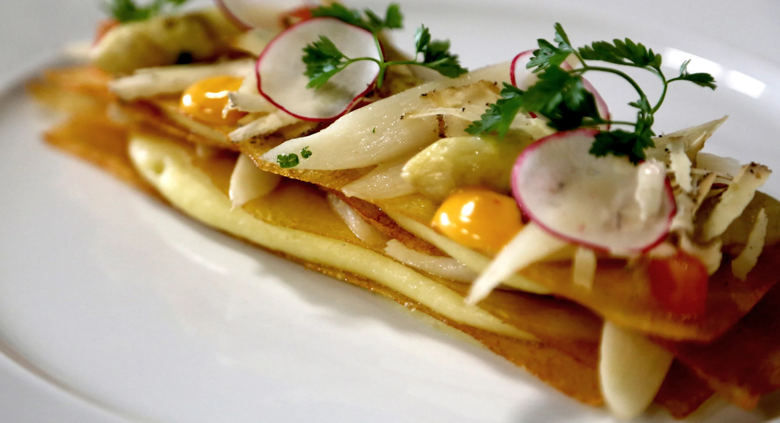 Cookies Cream vegetarian fine dining dish featuring crisp golden layers, fresh radish, and vibrant sauce spheres.